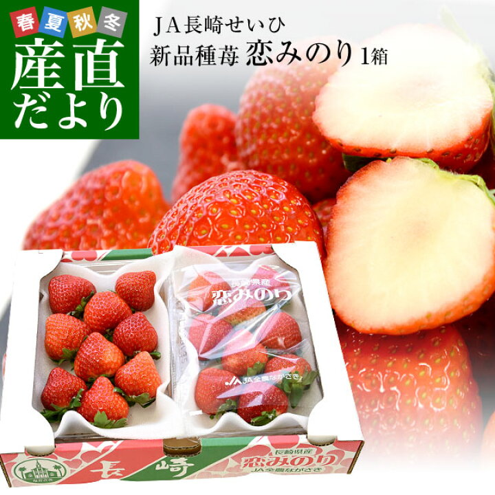 楽天市場 長崎県より産地直送 Ja長崎せいひ 期待の新品種いちご 恋みのり 1箱540g 270g ２パック 合計粒から32粒入り 送料無料 苺 イチゴ こいみのり 長崎西彼農協 産直だより