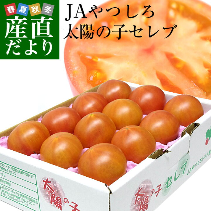 楽天市場 熊本県より産地直送 Jaやつしろ 太陽の子セレブ フルーツトマト 約1キロ Lからsサイズ ９玉から16玉 送料無料 とまと 産直だより