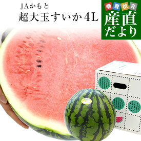 熊本県 JAかもと 超大玉すいか 9キロ以上（1玉）4Lサイズ 秀品 送料無料 スイカ 西瓜 鹿本