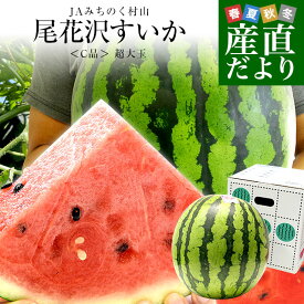 山形県産 JAみちのく村山 尾花沢すいか ＜C品＞ 大玉5Lサイズ以上 1玉 9キロ以上　西瓜 スイカ すいか 送料無料