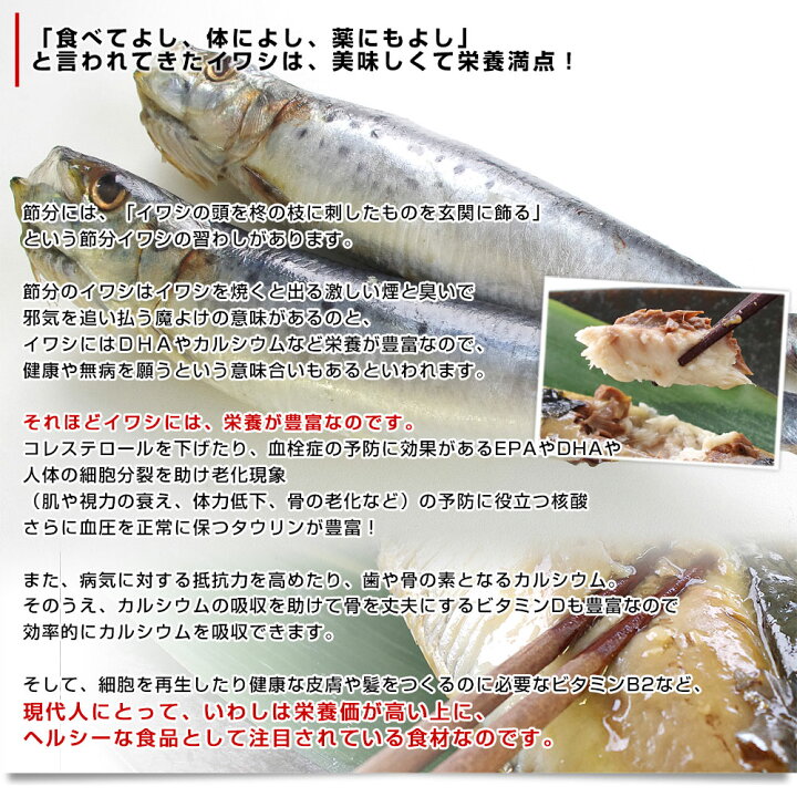 楽天市場 北海道産 超特大いわし丸干し 巨大キングサイズ 尾セット 2キロ 1尾100g以上 尾 送料無料 産直だより