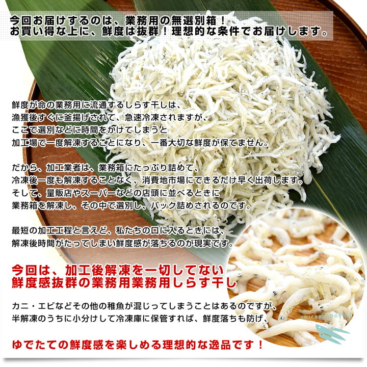 楽天市場 徳島県椿泊産 しらす干し 1キロ入り 送料無料 業務用箱 しらす シラス シーフード 産直だより
