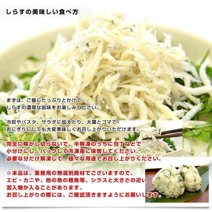 楽天市場 徳島県椿泊産 しらす干し 1キロ入り 送料無料 業務用箱 しらす シラス シーフード 産直だより