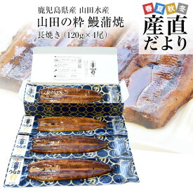 鹿児島県産 山田水産の極上国産うなぎ蒲焼「山田の粋（やまだのいき）」長焼（120g×4尾）送料無料 鰻蒲焼 ウナギ ※クール冷凍便 お中元 御中元 夏ギフト