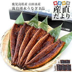 鹿児島県志布志産 山田水産 ご家庭向け 霧島湧水うなぎ B品 計700g（5尾から7尾詰め）送料無料 鰻師 加藤尚武さん シーフード
