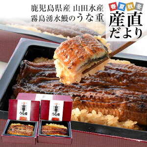 uzu RcY NV̂ȏd iĖgpj2lO  V NȂ EiM Vt  Rc̐@CY