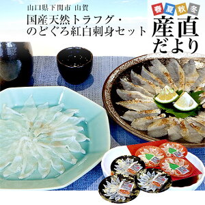 R֎s璼 R YVRgtOÊǂghgZbg(gtOhgÂǂthgA||A݂낵)  ӂ mhO N[Ⓚ