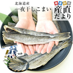 �k�C���Y ��銱�����܂� 2L�T�C�Y ���ϔ� 1�� ��500g�i10���O��j �������� �X���� �R�}�C ���N�[���Ⓚ��