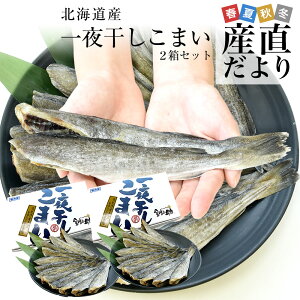 �k�C���Y ��銱�����܂� 2L�T�C�Y ���ϔ� ��500g�i10���O��j×2���@���v��1kg �������� �X���� �R�}�C ���N�[���Ⓚ��