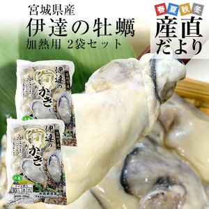 {錧Y y(Ⓚނg) Mp MTCY 500g×2܁@v1L  y  JL