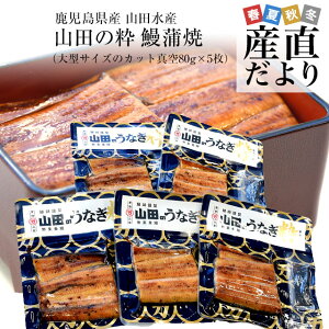 Y@RcY̋ɏ㍑YȂāuRc̐i܂̂jvi^TCỸJbg^80g×5j@@Vā@EiM