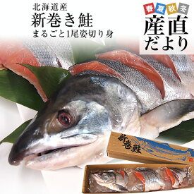 北海道より直送　新巻鮭 姿切り身 大型の鮭 まるごと1尾分 約2.5キロ 送料無料　北海道サケ シャケ 秋鮭 新巻き鮭