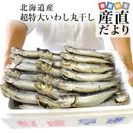 北海道産　超特大いわし丸干し　巨大キングサイズ　20尾セット　2キロ　（1尾100g以上×20尾） 送料無料 …