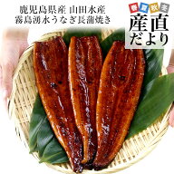 【土用の丑の日】ギフトにも最適！ 鹿児島県志布志産 山田水産 霧島湧水うなぎ 長蒲焼き 大サイズ3尾セッ…