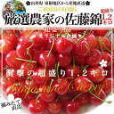 楽天総合1位のさくらんぼ！送料無料　山形県より産地直送　厳選農家の さくらんぼ佐藤錦　超盛　Mサイズ　約1.2キロ （300g×4入れ） ランキングお取り寄せ