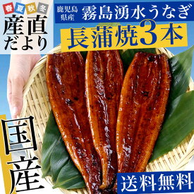 送料無料 鹿児島県志布志　山田水産　霧島湧水うなぎ　長蒲焼き　大サイズ3本セット（160g以上×3本）　鰻