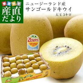 楽天市場 ゴールドキウイの通販