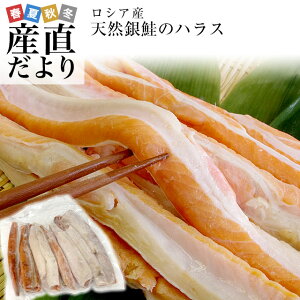 魚 フライパン 魚の人気商品 通販 価格比較 価格 Com 魚 フライパン 魚の人気商品 通販 価格比較 価格 Com