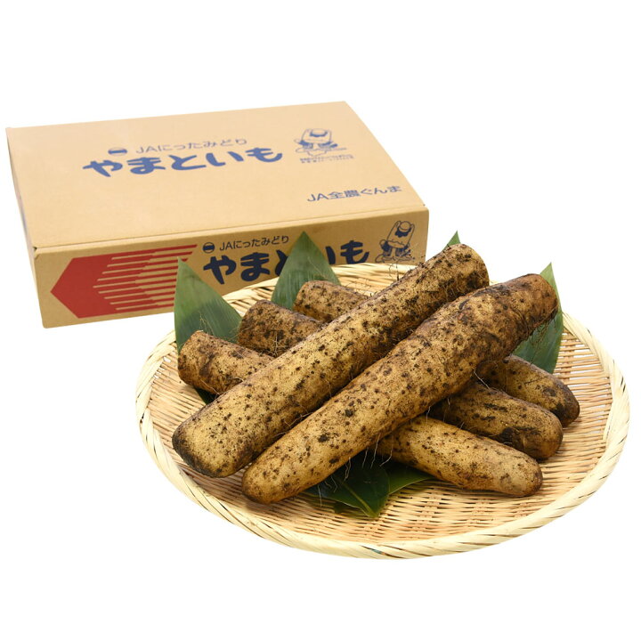 群馬県産 JAにったみどり やまといも 2キロ 送料無料 ヤマトイモ 大和芋 山芋 市場スポット ヤマイモ 正規代理店
