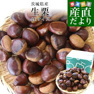茨城県産 生栗 約2キロ 2Lサイズ 送料無料 大粒栗 和栗 くり マロン 市場発送 クール便