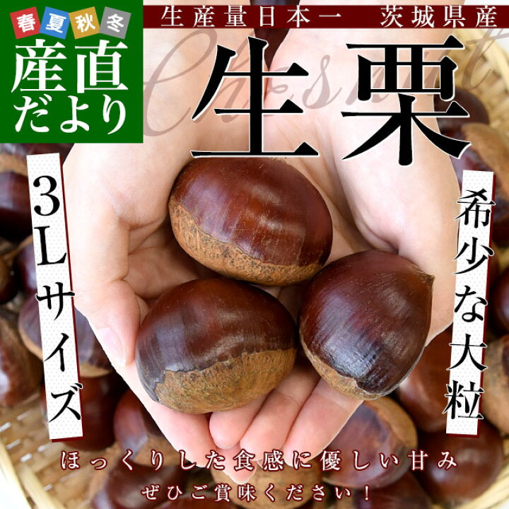 楽天市場】茨城県 生栗 約2キロ 3Lサイズ 送料無料 大粒栗 和栗 
