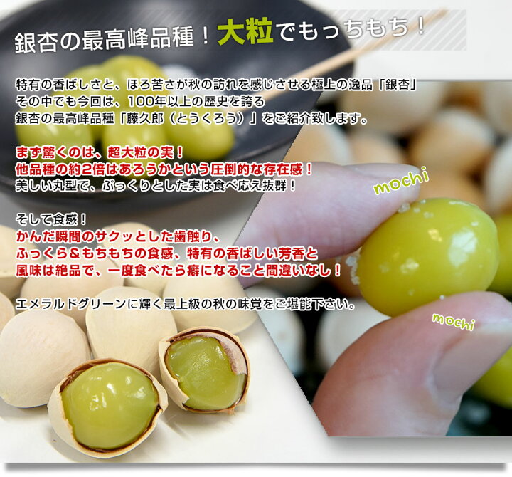 楽天市場】愛知県産 JAあいち 殻付き銀杏「藤九郎」 約500g（3Lから2L  