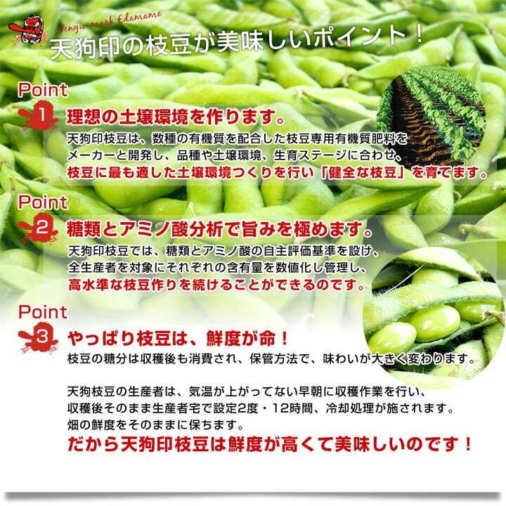 楽天市場 群馬県より産地直送 天狗印の枝豆 味緑 みりょく 約2キロ 群馬県沼田利根蔬菜出荷組合 送料無料 クール便 産直だより