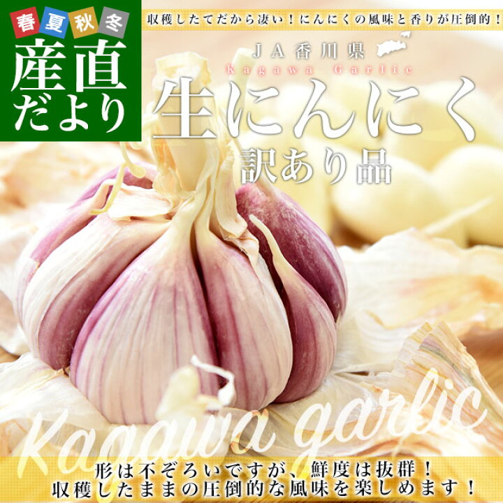 訳あり生にんにく終了です | ヤマダウェブコム