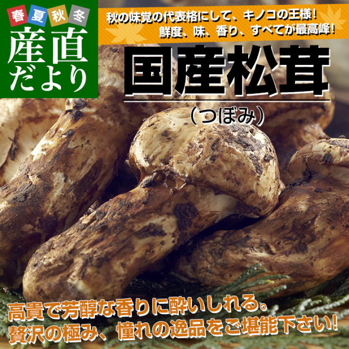 楽天市場】国産松茸（つぼみ）400g前後（4本から8本前後） 送料 