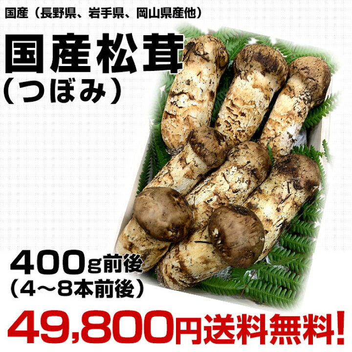 楽天市場】国産松茸（つぼみ）400g前後（4本から8本前後） 送料無料 