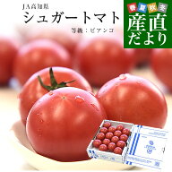 高知県産 JA高知県 シュガートマト 糖度8度以上 等級：ビアンコ 約800g（12玉から20玉）送料無料 トマト …