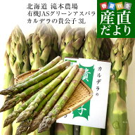 北海道より産地直送 赤井川村滝本農場の有機JASグリーンアスパラ「カルデラの貴公子」 極太3Lサイズ 約50…