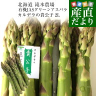 北海道より産地直送 赤井川村滝本農場の有機JASグリーンアスパラ「カルデラの貴公子」 極太2Lサイズ 約50…