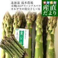 北海道より産地直送 赤井川村滝本農場の有機JASグリーンアスパラ「カルデラの貴公子」 LからMサイズ 約50…