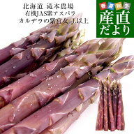 北海道より産地直送 赤井川村滝本農場の有機JAS　紫アスパラ「 カルデラの紫宮女」 L以上 約500g入り 送…