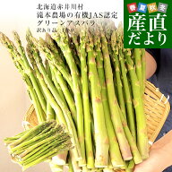 北海道より産地直送 赤井川村 滝本農場の有機JAS認定グリーンアスパラ 規格外 約1キロ 送料無料 アスパラ…