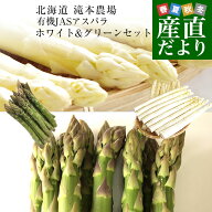 北海道より産地直送 赤井川村滝本農場 有機JAS栽培アスパラ 貴婦人と貴公子のセット (ホワイト2LからL約5…
