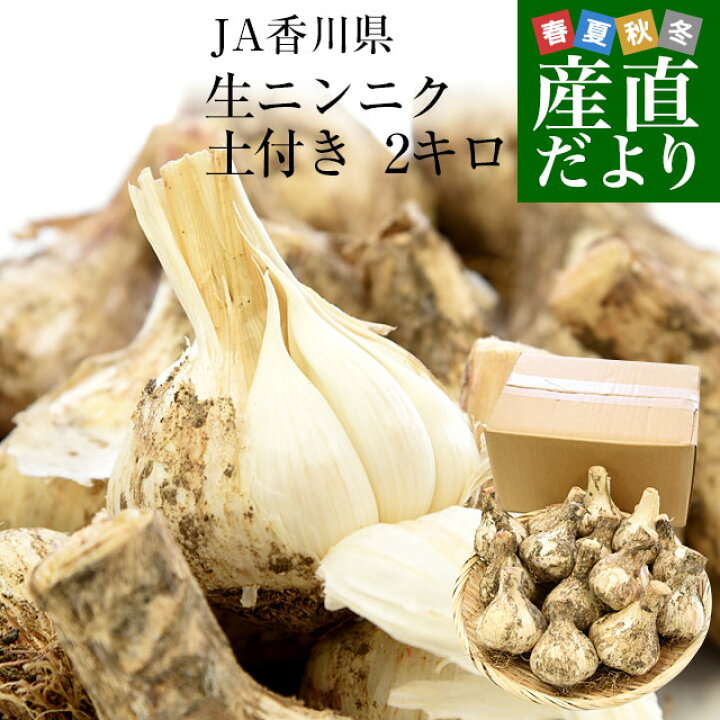 土付き訳あり生にんにく 約10kg 香川県産（鮮度抜群!土付き 