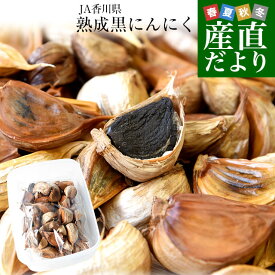 香川県より産地直送 JA香川県 熟成黒にんにく 約300g（タッパー入り） 送料無料 黒ニンニク 大蒜　香川にんにく