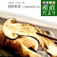 国産松茸（ご家庭用・訳あり品）身の割れ、欠け、規格外含む 約150g（2本から16本） 送料無料 クール便 …