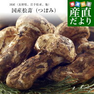 国産松茸（つぼみ）300g前後（4本から12本前後） 送料無料 クール便 まつたけ マツタケ 市場発送