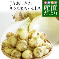 熊本県より産地直送 JAあしきた サラたまちゃん LAサイズ 約5キロ （15玉前後） 送料無料 玉葱 タマネギ …
