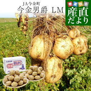 kCY JA Ⴊ j LMTCY 5L(44ʑO)@ n鏒 WKC  j݈