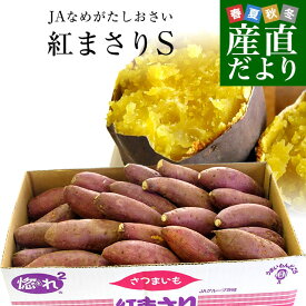 茨城県より産地直送 JAなめがた さつまいも「紅まさり(べにまさり)」 Sサイズ 約5キロ(25本から30本前後） 送料無料 さつま芋 サツマイモ 薩摩芋