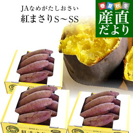 茨城県より産地直送 JAなめがた さつまいも「紅まさり(べにまさり)」 SからSSサイズ 約1キロ×3箱セット 送料無料 さつま芋 サツマイモ 薩摩芋