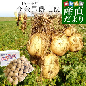 kCY JA Ⴊ j LMTCY 10L(90ʑO)@ n鏒 WKC  j݈
