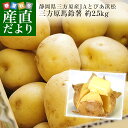 静岡県産 JAとぴあ浜松 三方原馬鈴薯（男爵）Mサイズ 約2.5キロ(20玉前後)送料無料 ばれいしょ じゃがいも ジャガイモ