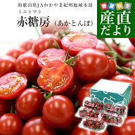 和歌山県 JAわかやま紀州地域本部 ミニトマト 赤糖房（あかとんぼ）秀品 約800g（約160g×5パック） Lサ…