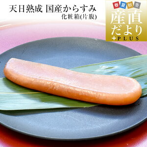  RcY蒼 Vn Y炷 Е ϔ MTCY i71g90gj  JX~ {   ܂  N[Ⓚ