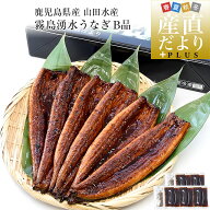鹿児島県志布志産 山田水産 ご家庭向け 霧島湧水うなぎ B品 計700g（5尾から7尾詰め）送料無料 鰻師 加藤…
